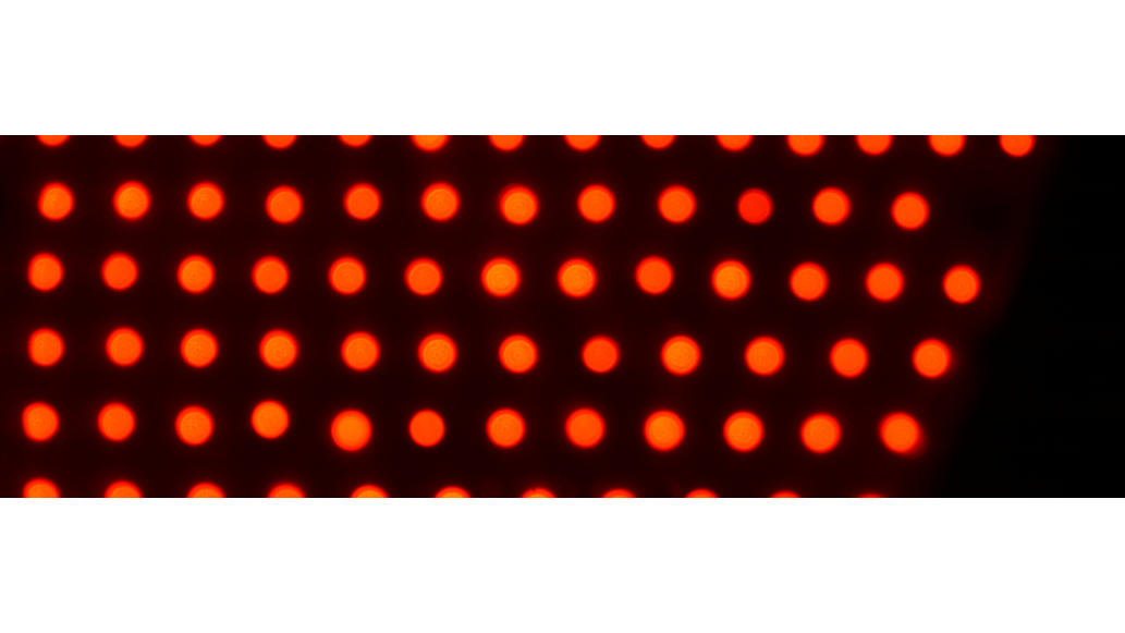 Red Light Bulb Array