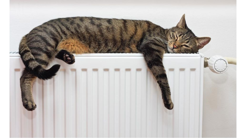 A Complete Beginner's Guide to Working Out