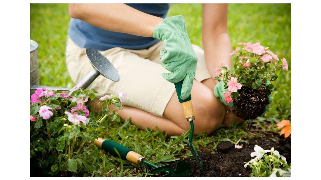 gardening