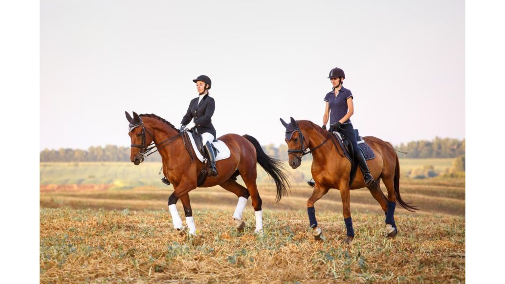 two people horseback riding
