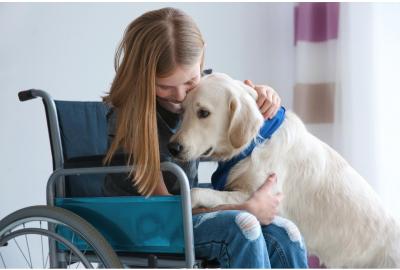 Lead a More Independent Life with a Service Dog