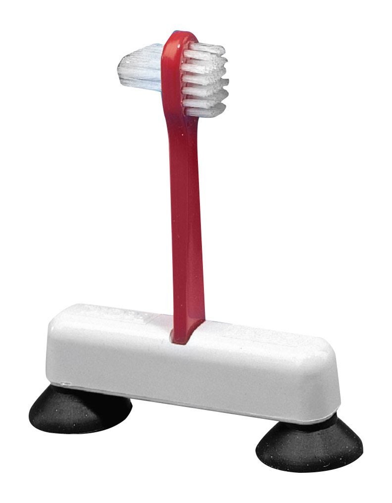 Suction Denture Brush Performance Health