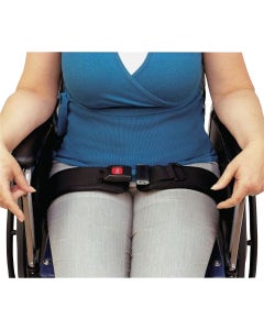 Economy Padded Hip Belt