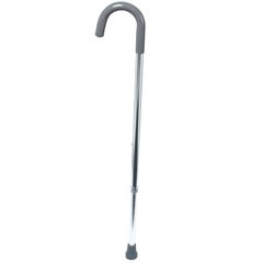 Days Standard Cane in Silver