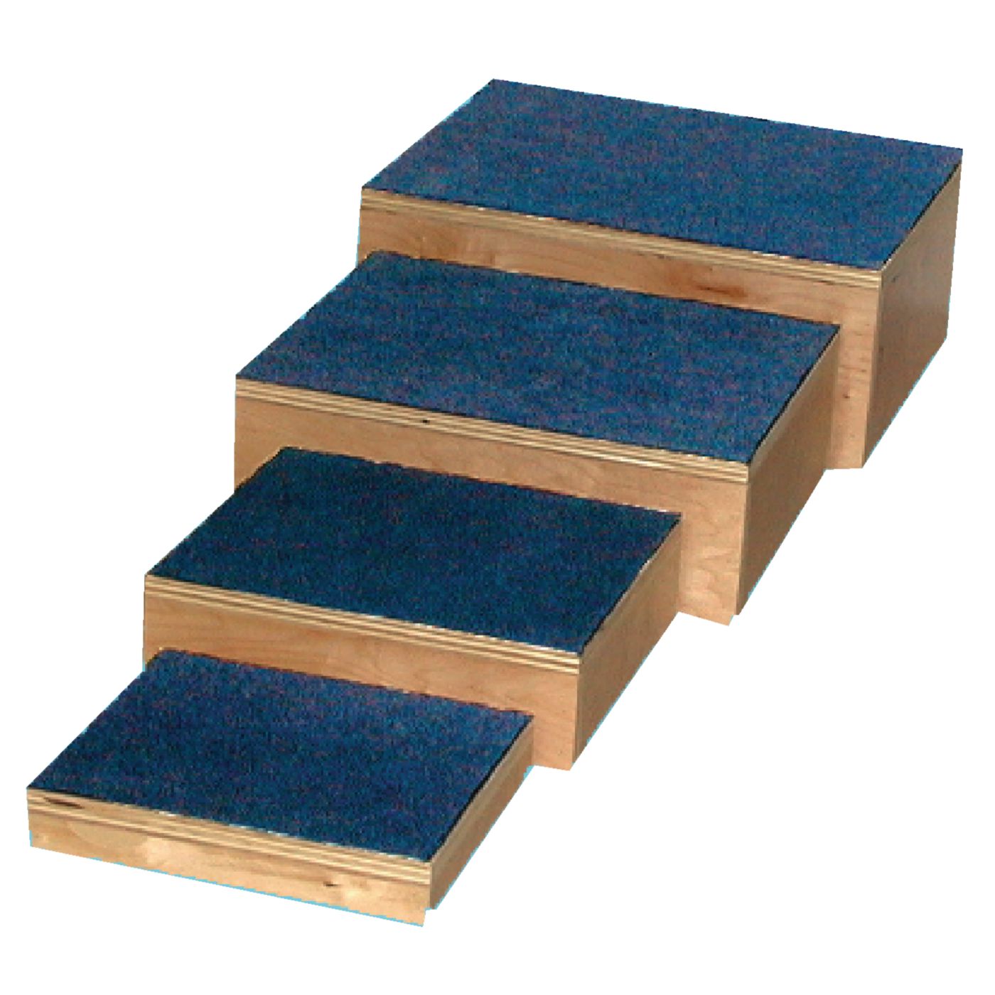 Therapy Steps
