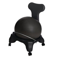 Ball Chair Black