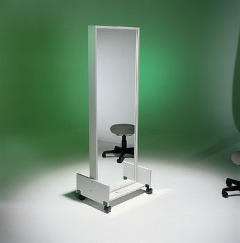 Portable Mirror with Weight Rack