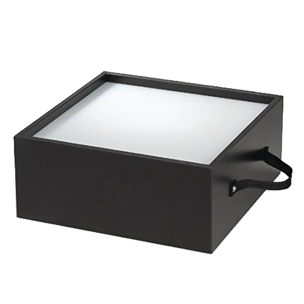 Light Box Performance Health