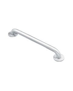 Moen Stainless Steel Finish Grab Bar