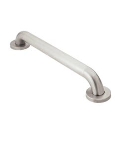 Moen Peened Stainless Steel Grab Bar for Shower