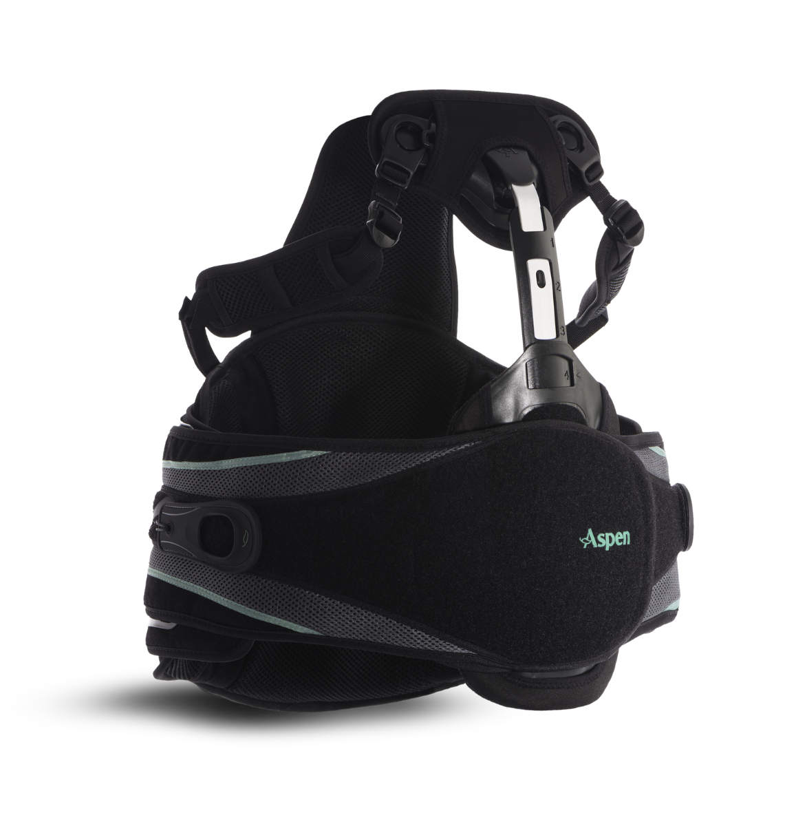 aspen back braces