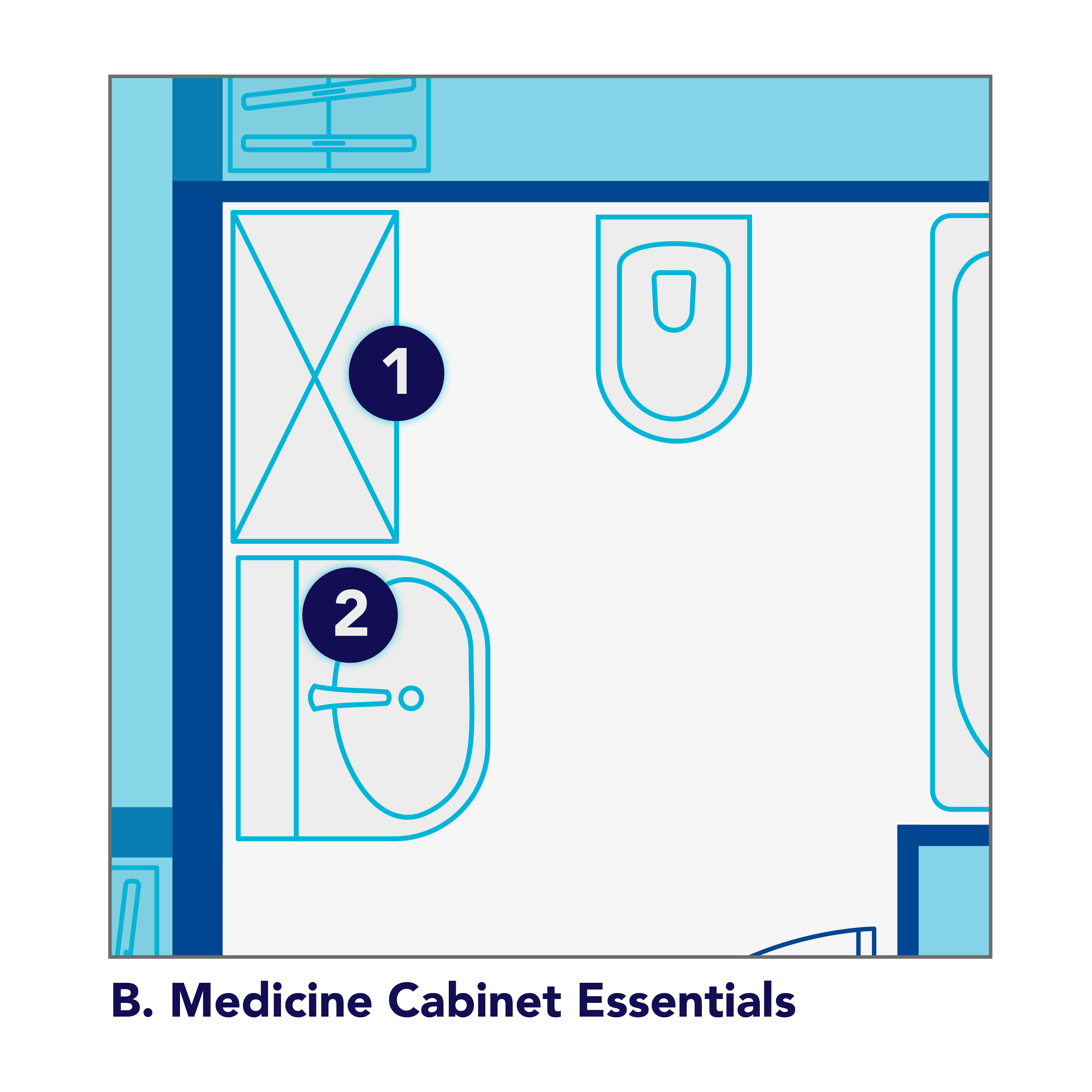 Medicine cabinet essentials
