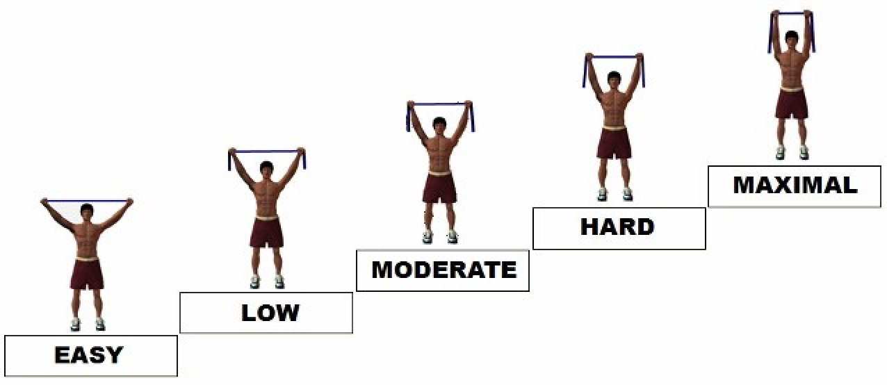 Resistance Exercise in Cardiac Rehab: Best Practices for Physical ...