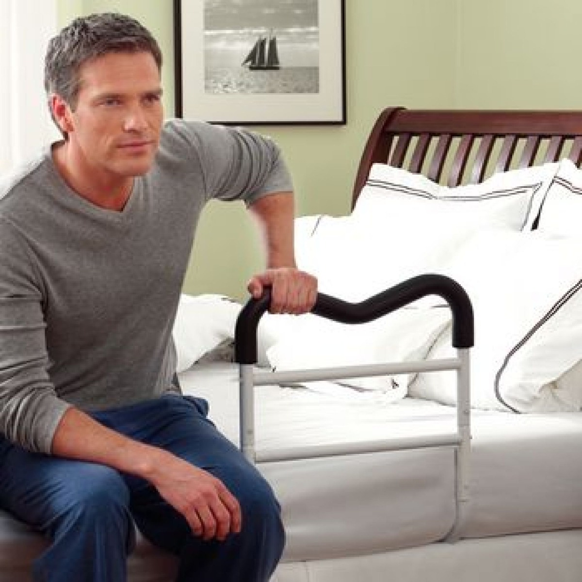bed rail assit