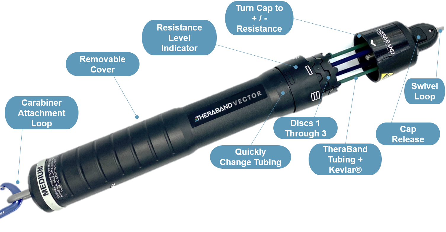 infographic of theraband vector