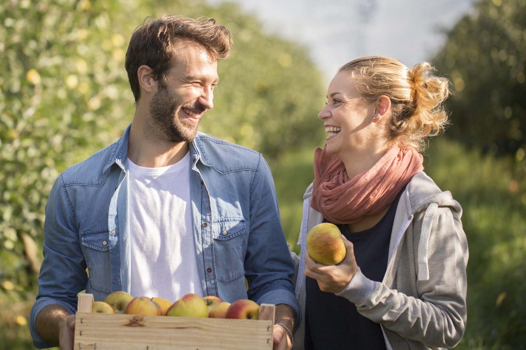 Apple Picking
