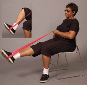 sitting leg press