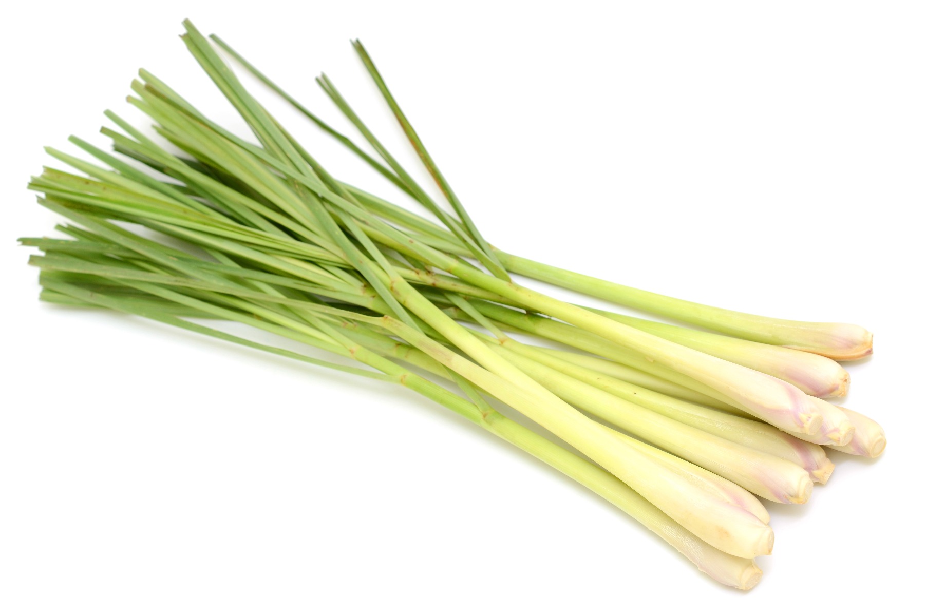 Lemongrass