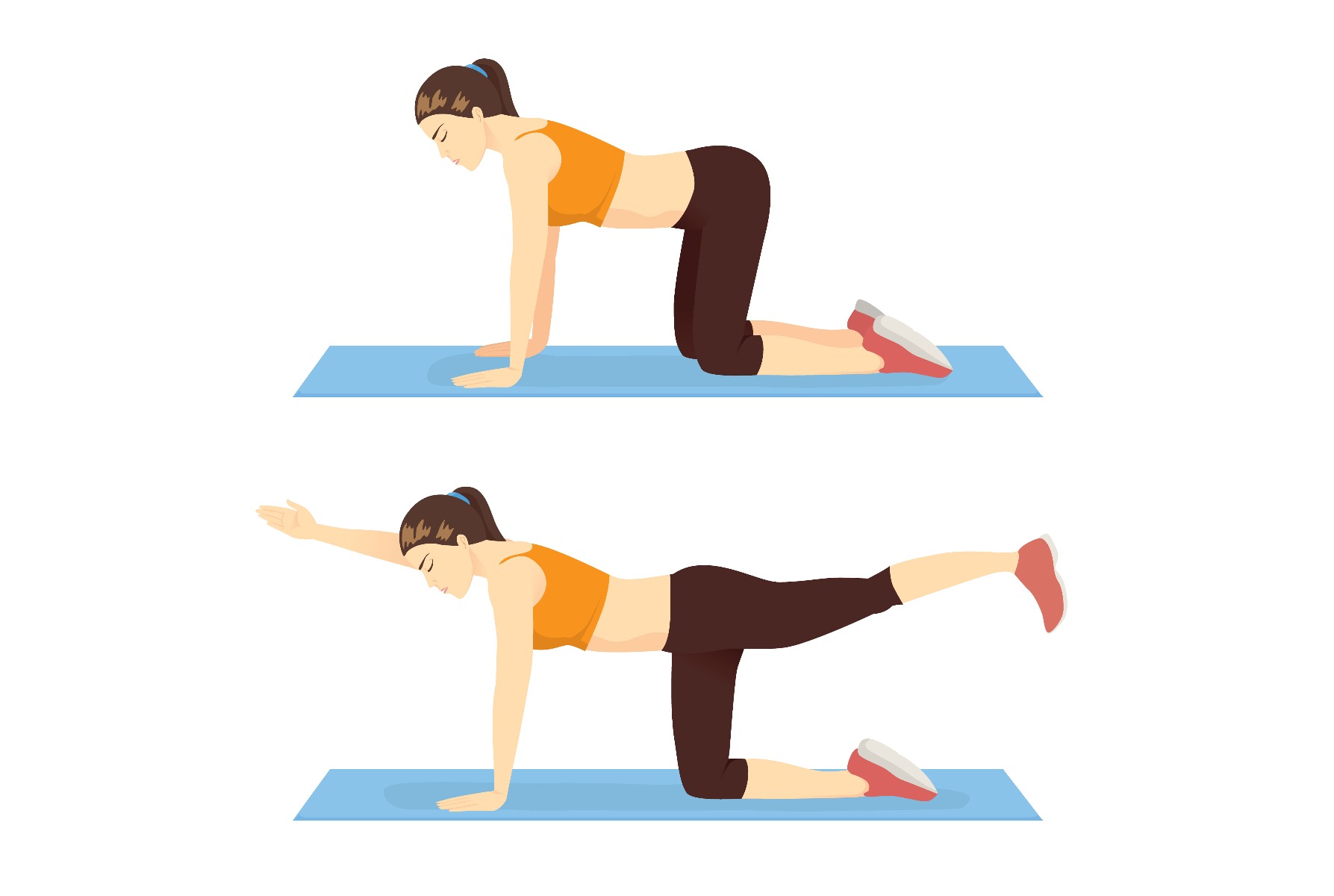 Kneeling Leg and Arm Extension