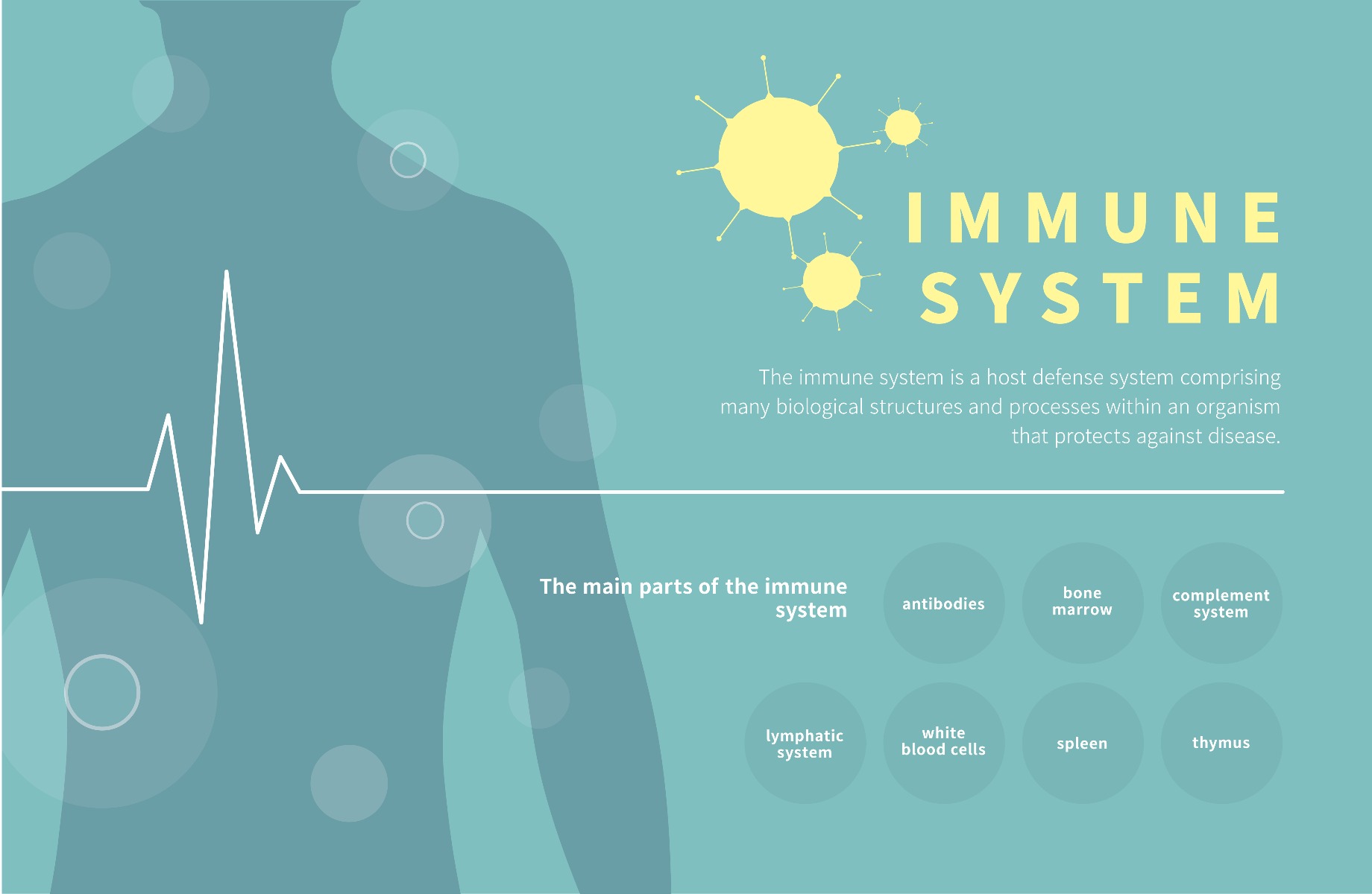 immune system presentation ideas