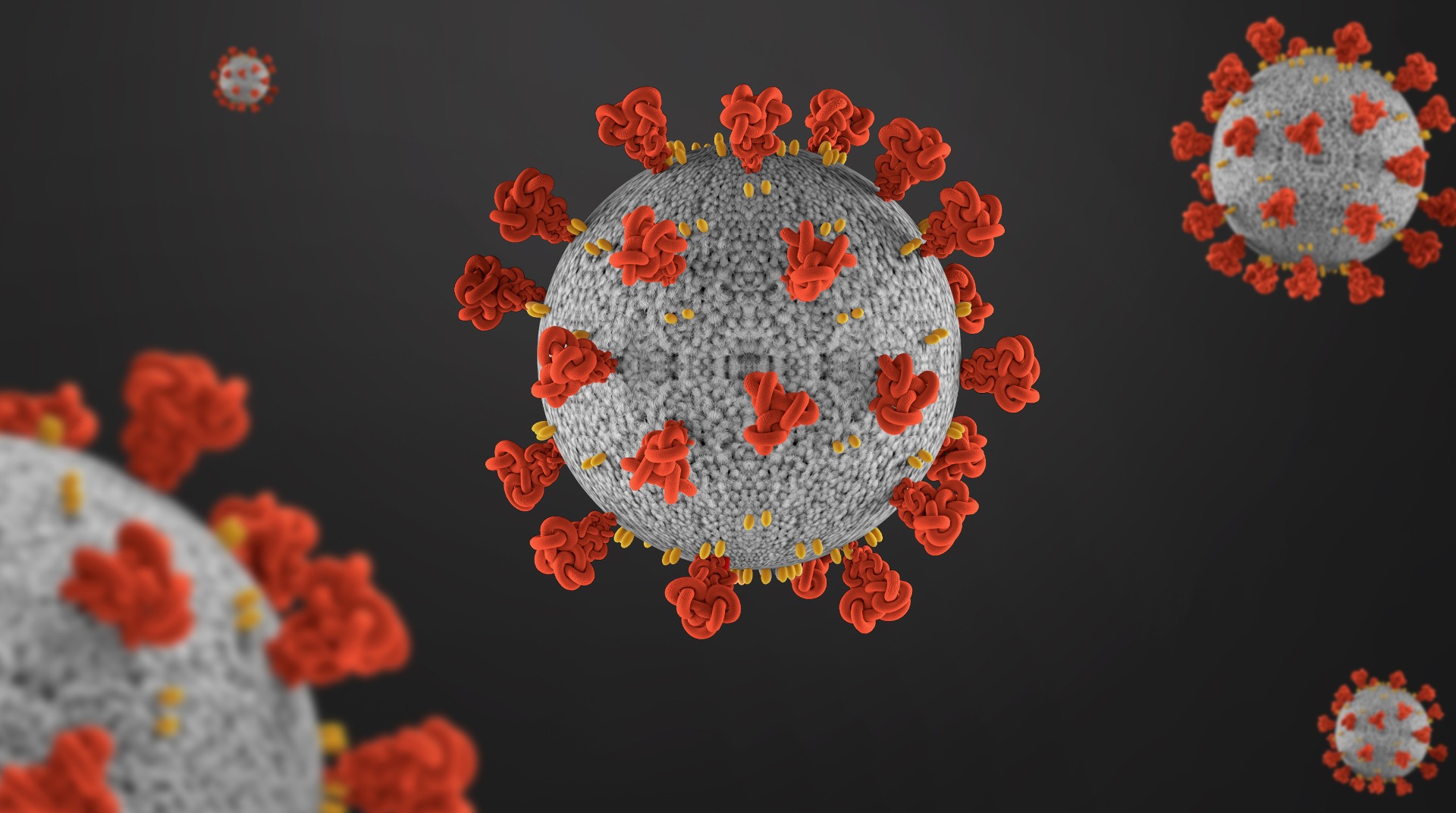 COVID-19 virus