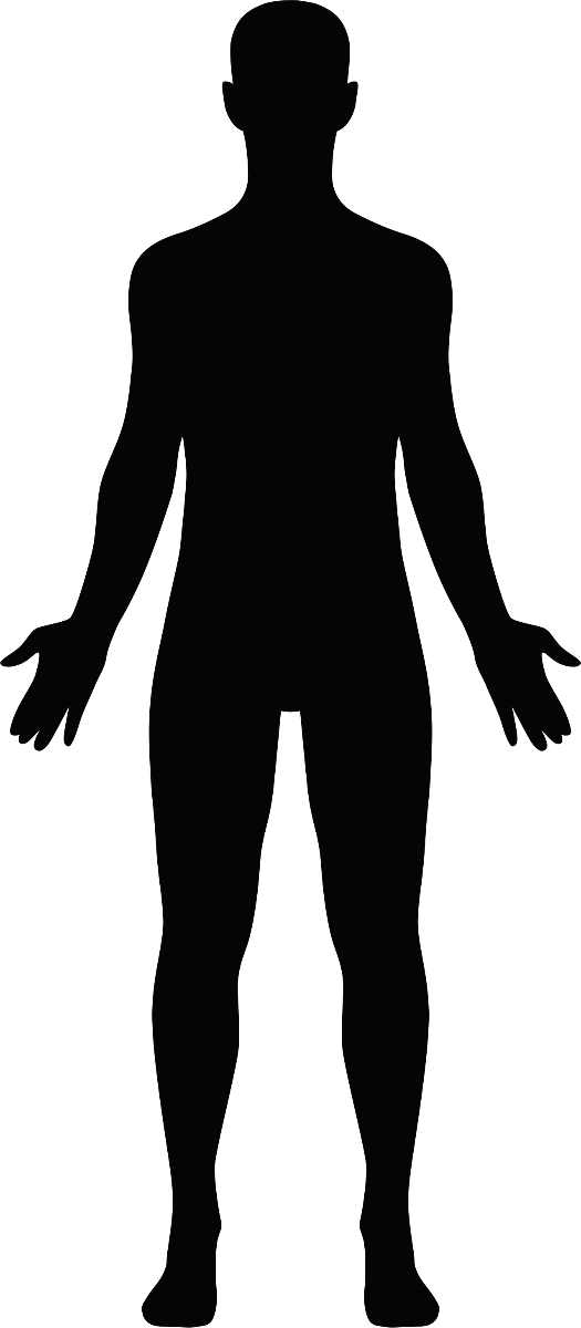 body