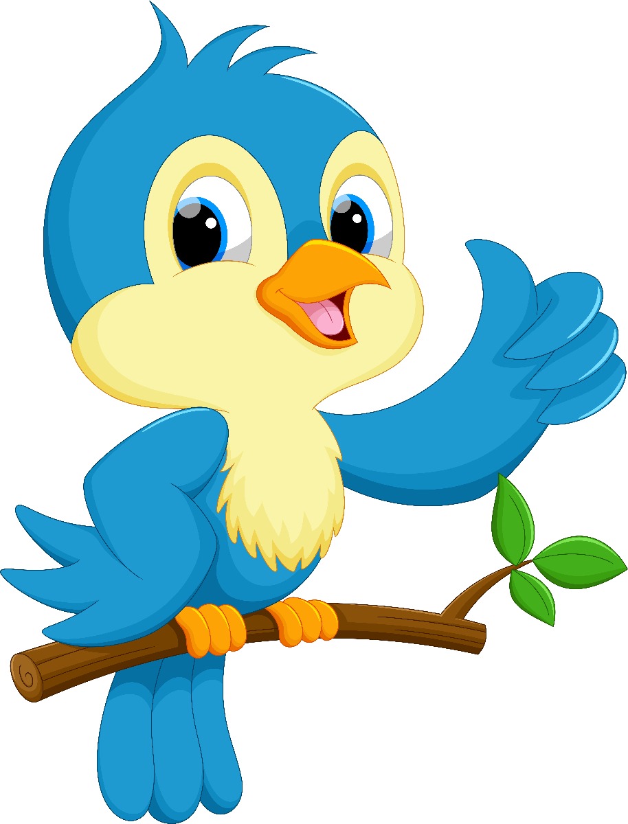 cartoon bird