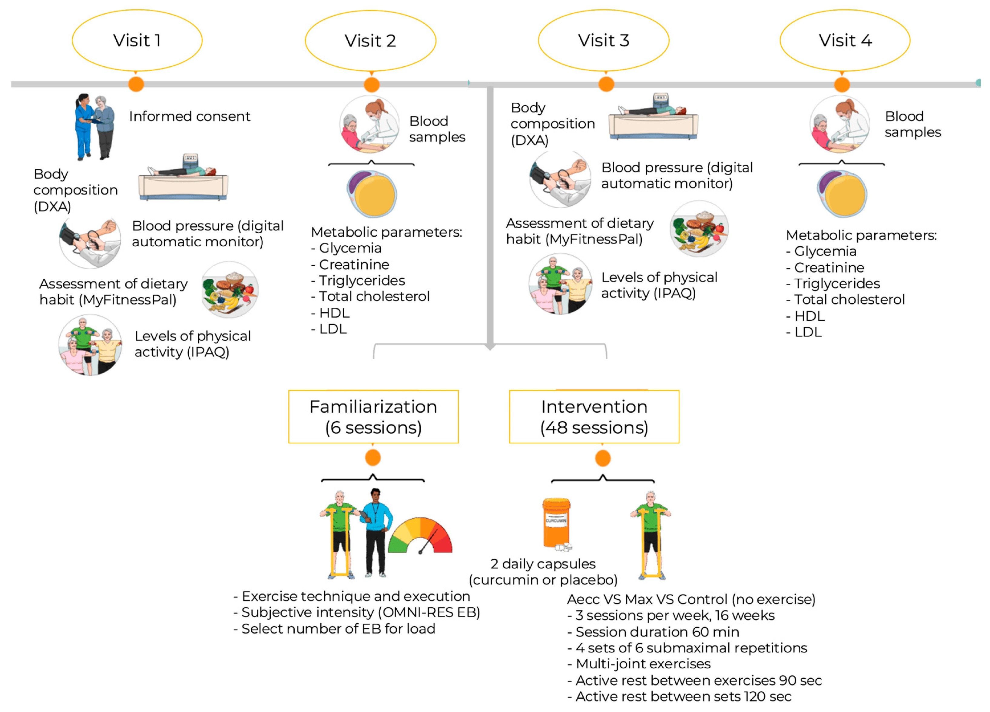 Study proceedure illustration