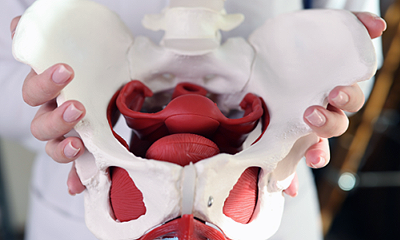 Utilizing Dry Needling for Pelvic Health: A Case Study
