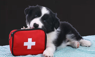 What Do You Need in Your First Aid Kit? (& Why)